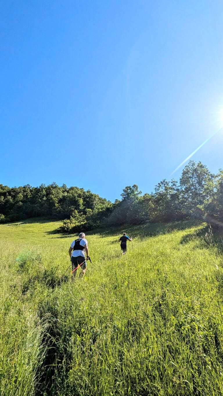 Trails 2