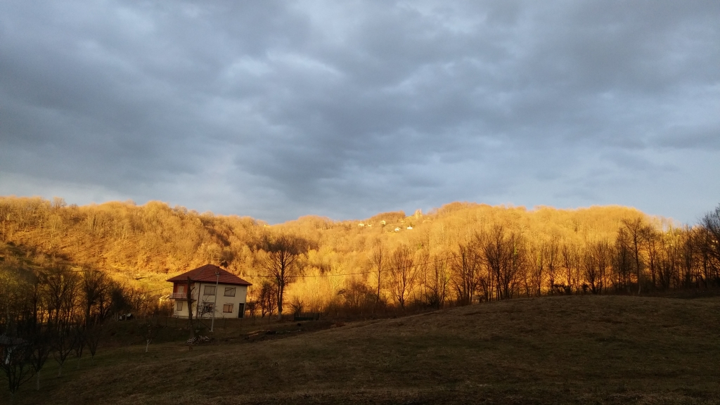 Home focusarea=100110110