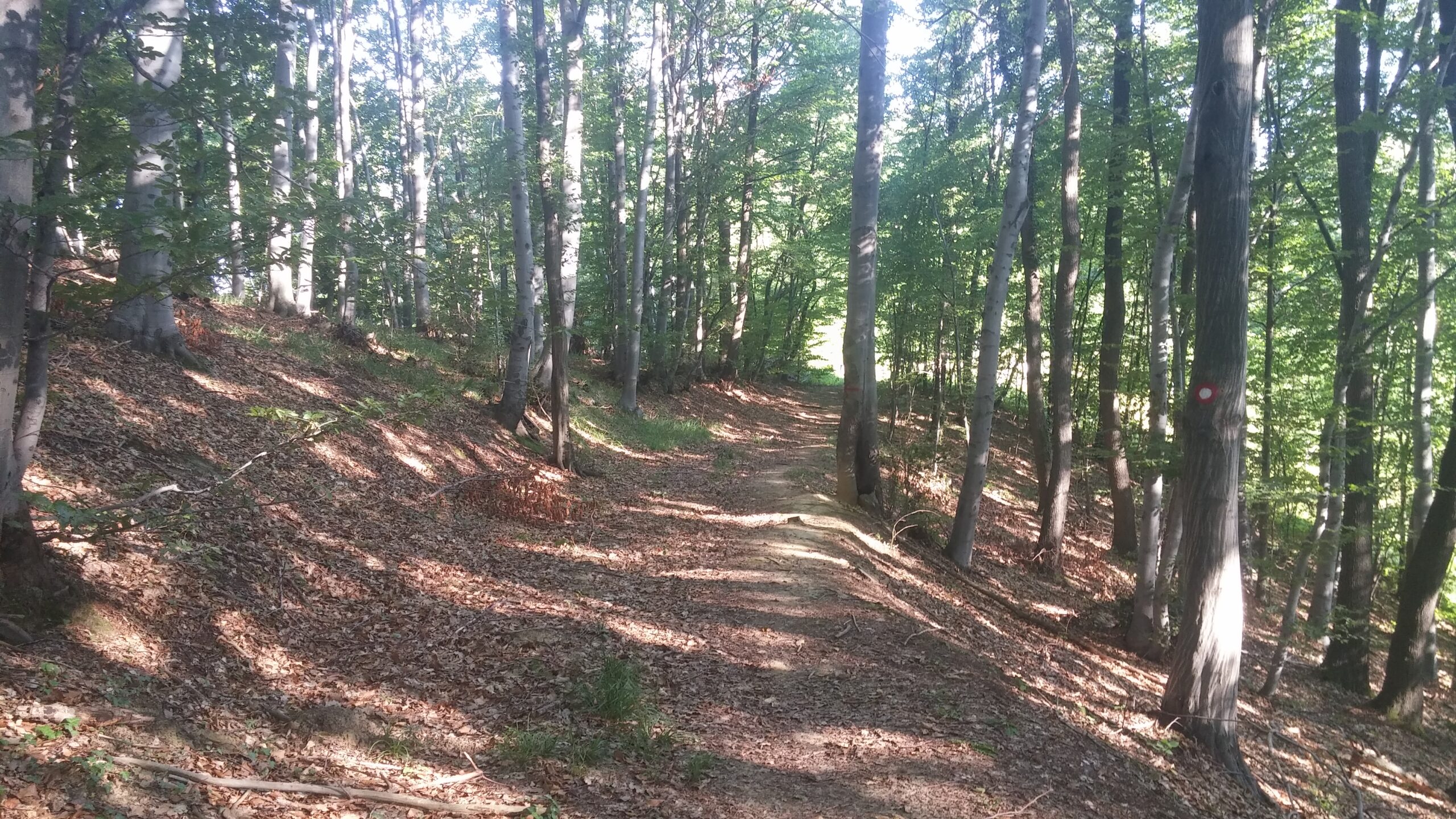 Trails focusarea=111111111
