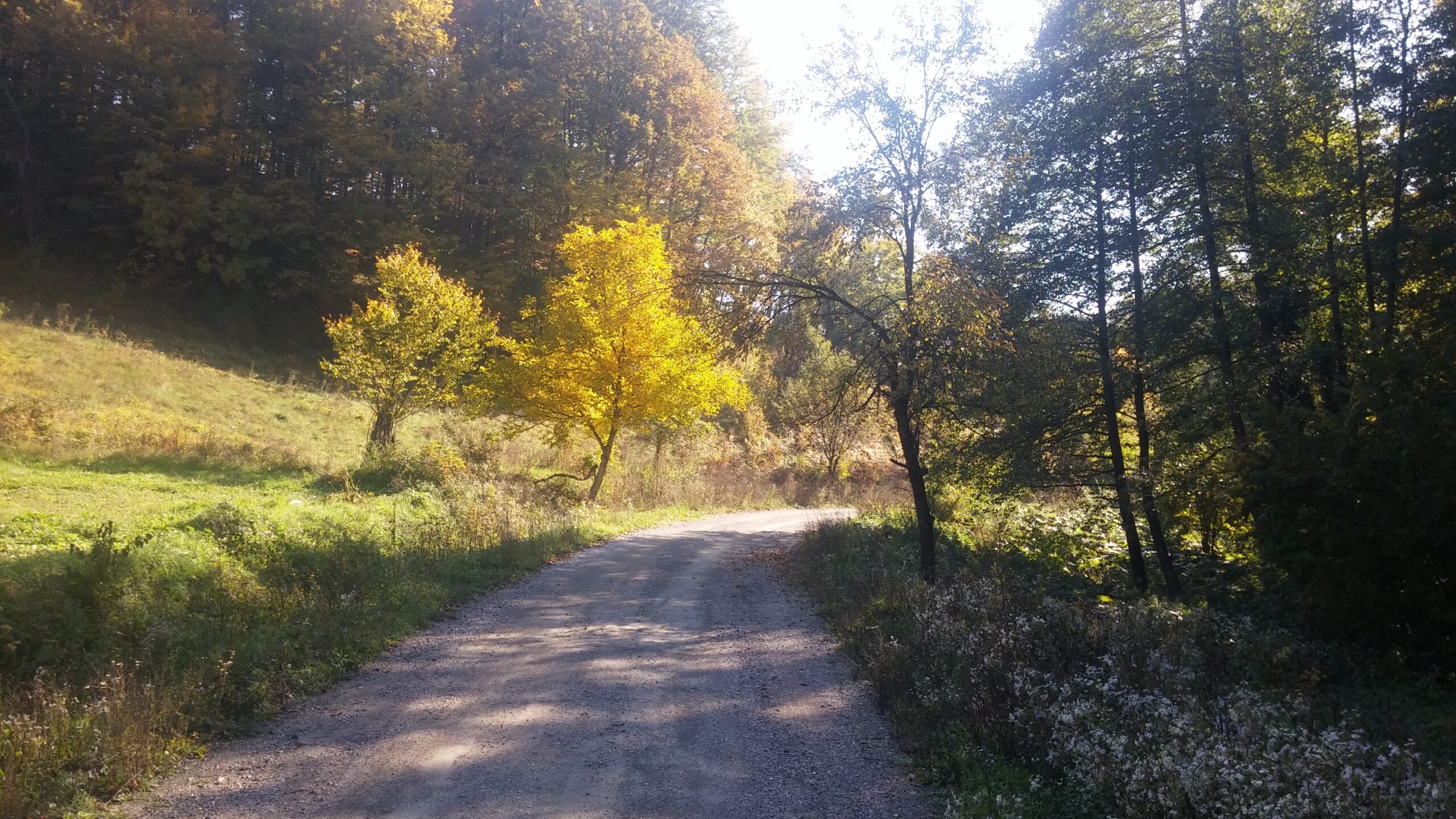 Trails focusarea=111111111