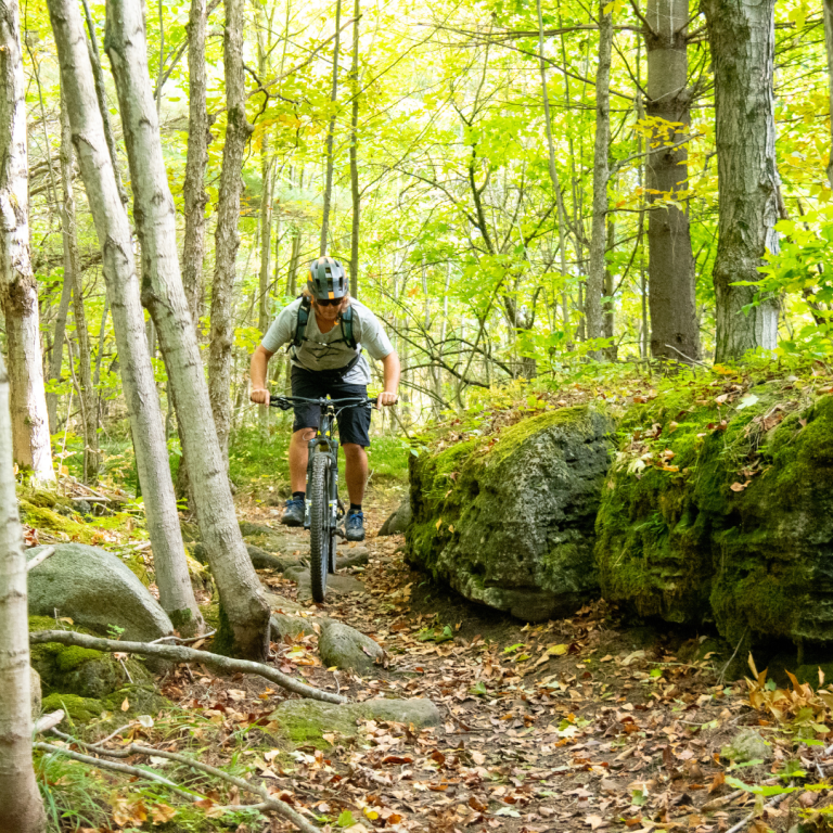 Trails 2024 social posts and ads 2 768x768
