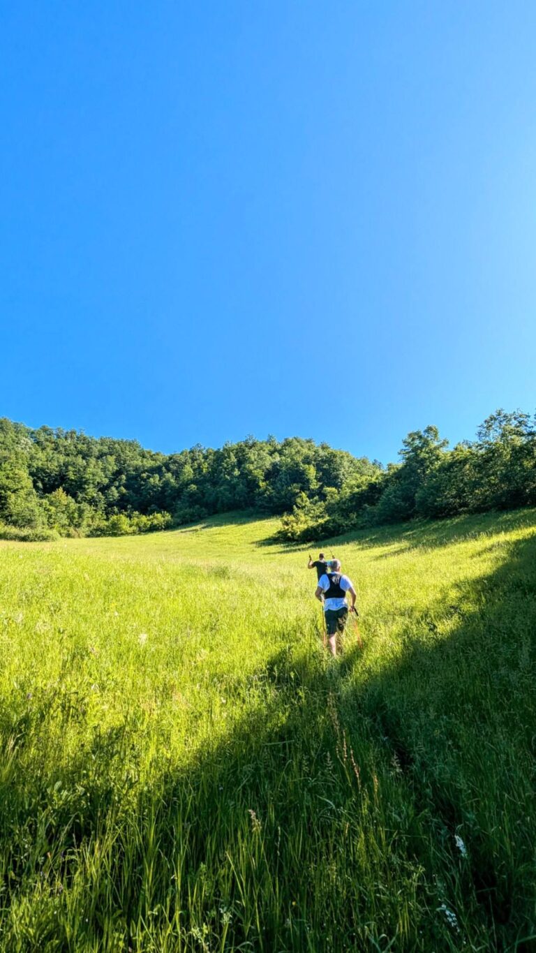 Trails 3