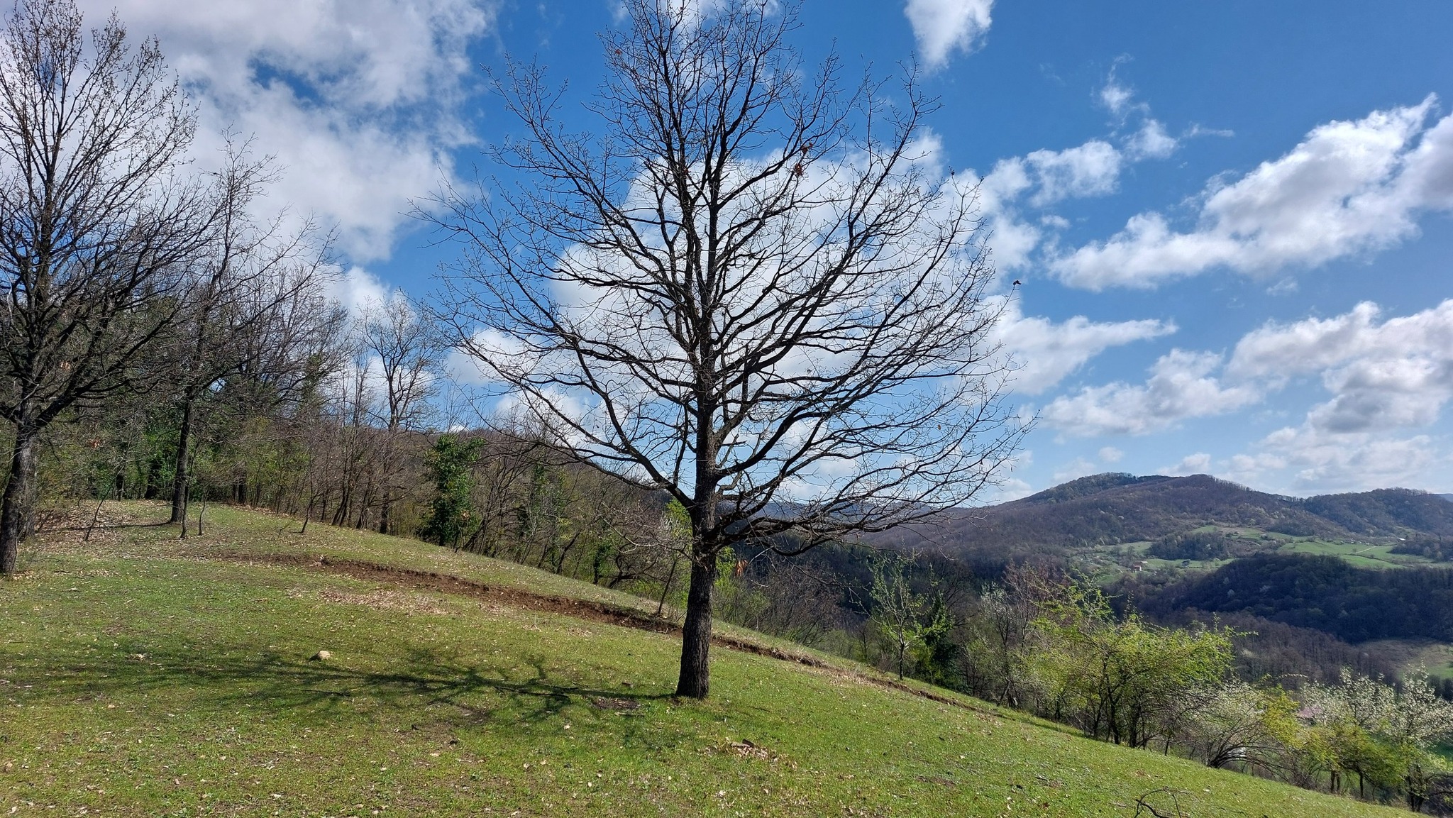 489375549 1859137784879726 8021246897518216359 n