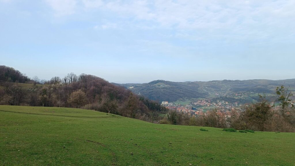 solina
